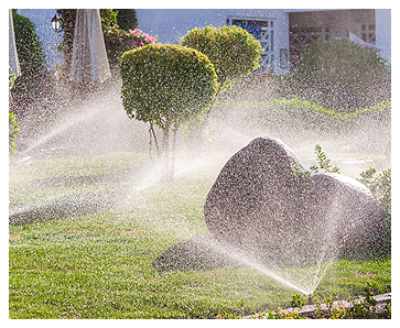 Yard with Irrigation System